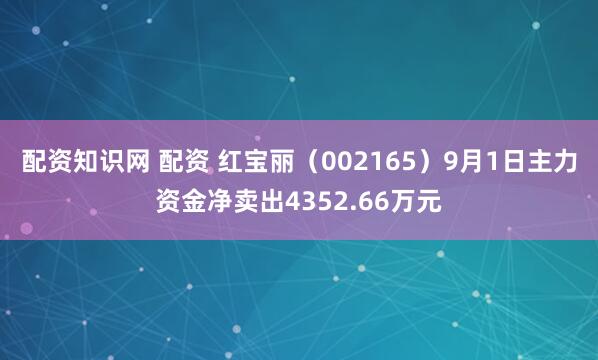 配资知识网 配资 红宝丽（002165）9月1日主力资金净卖出4352.66万元