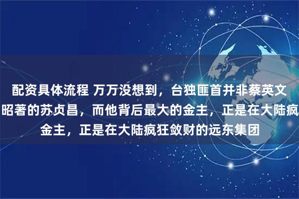 配资具体流程 万万没想到，台独匪首并非蔡英文，赖清德，是臭名昭著的苏贞昌，而他背后最大的金主，正是在大陆疯狂敛财的远东集团
