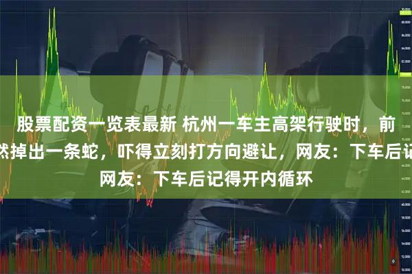 股票配资一览表最新 杭州一车主高架行驶时,前车排气管突然掉出一条蛇,吓得立刻打方向避让,网友:下车后记得开内循环